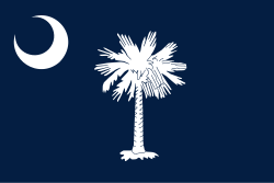 South Carolina state flag